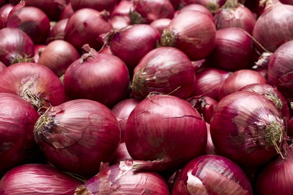 Омг onion