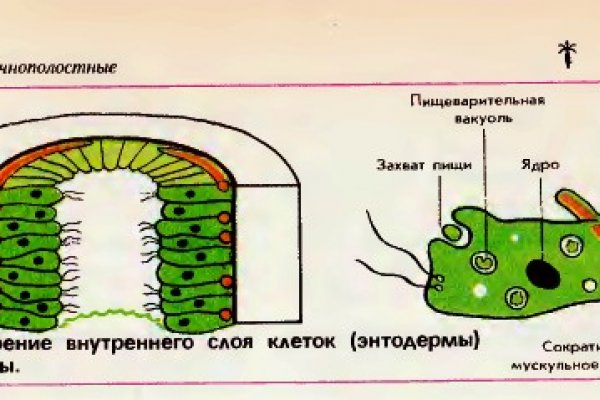 Зеркало омг омг тор ссылка